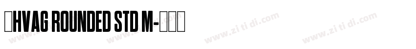 韩HVAG ROUNDED STD M字体转换